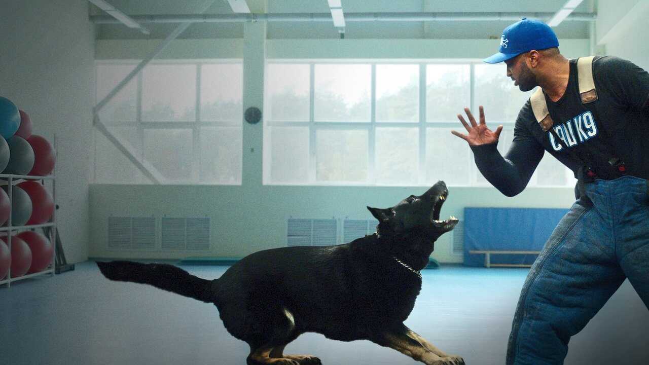 FR - Canine Intervention 0