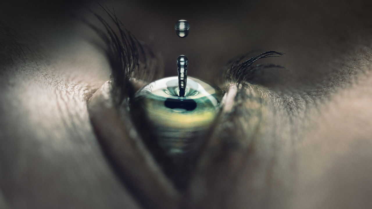 EN - Falling Water (2016) 2