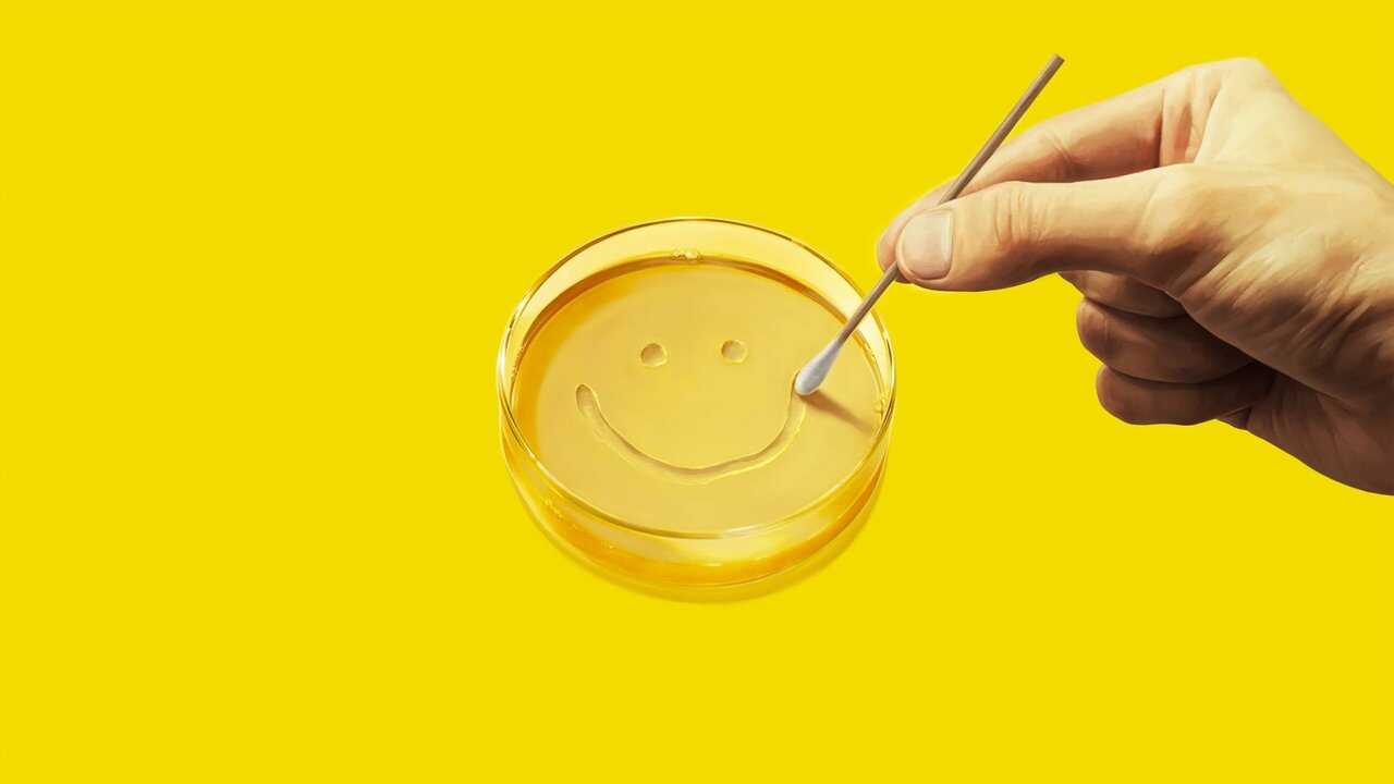 FR - Pluribus (2025) (US) 2