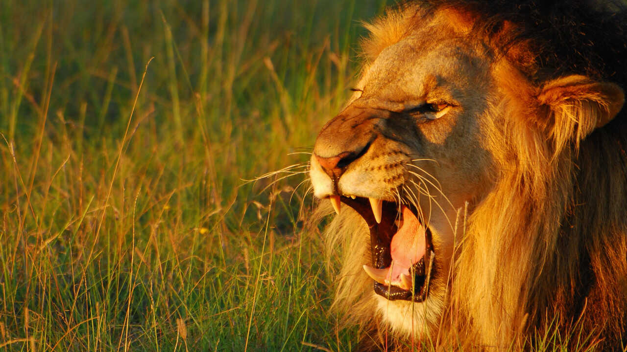 EN - Secret World Of Sound With David Attenborough (2024) 0