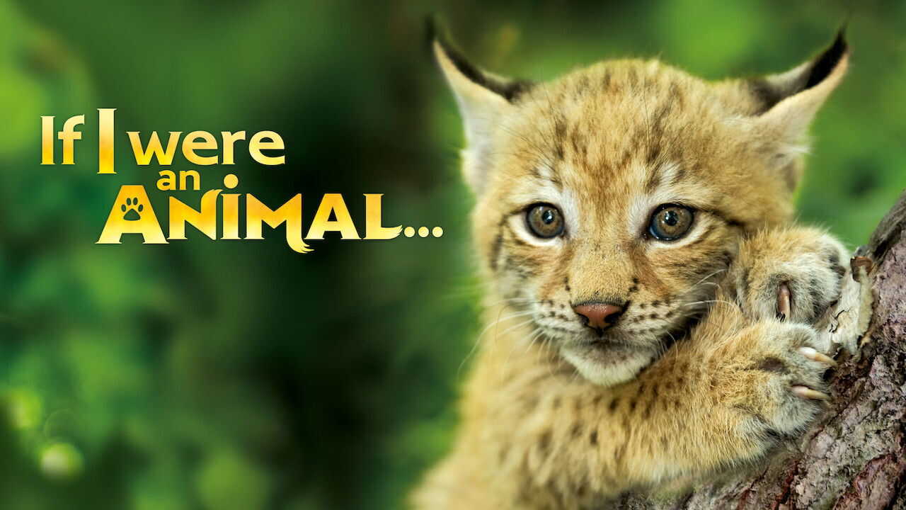 NF - If I were an Animal 1