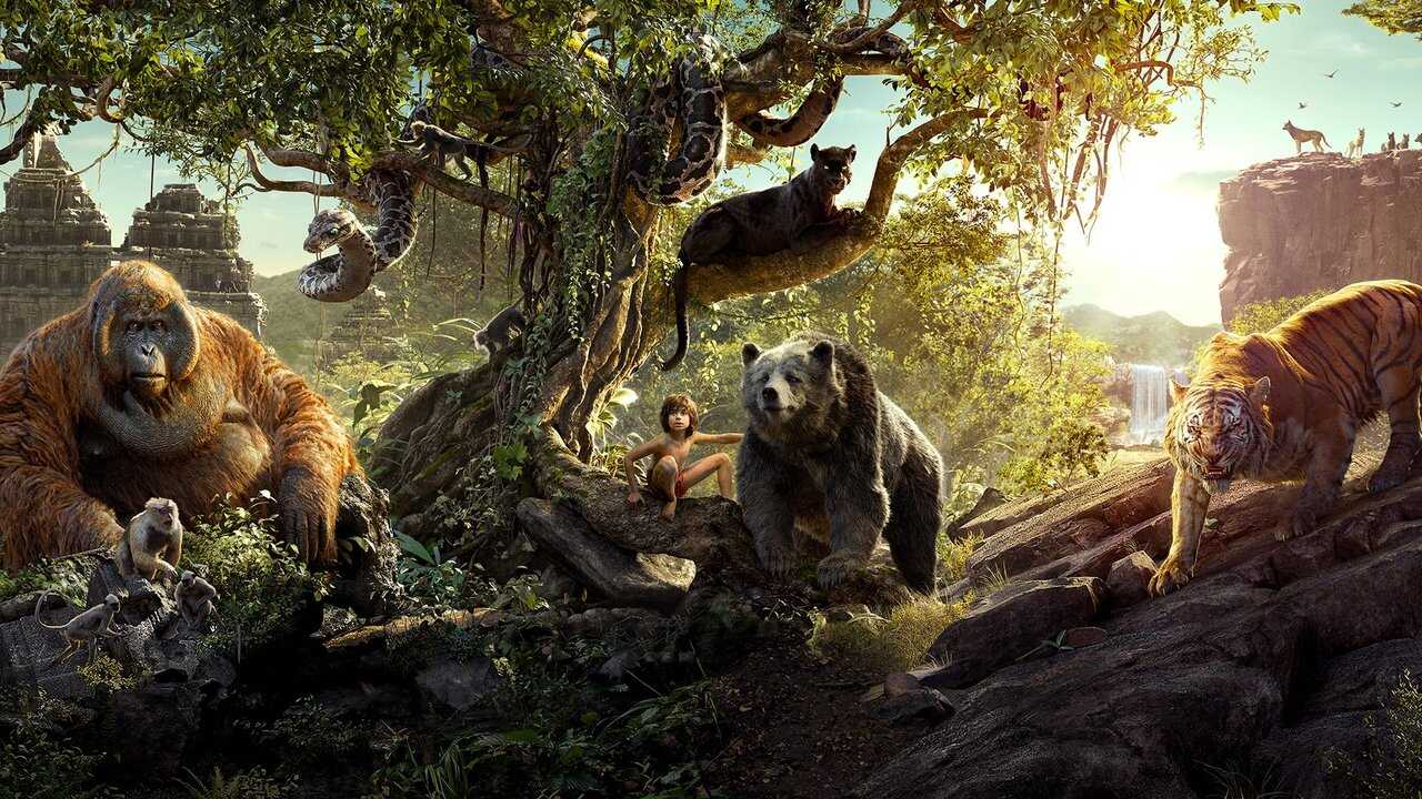 The Jungle Book 0