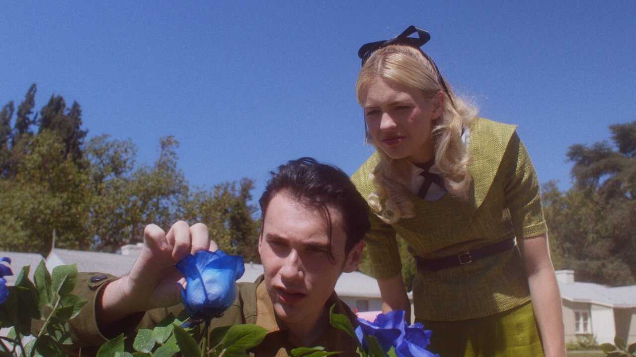 The Blue Rose (2024) 0