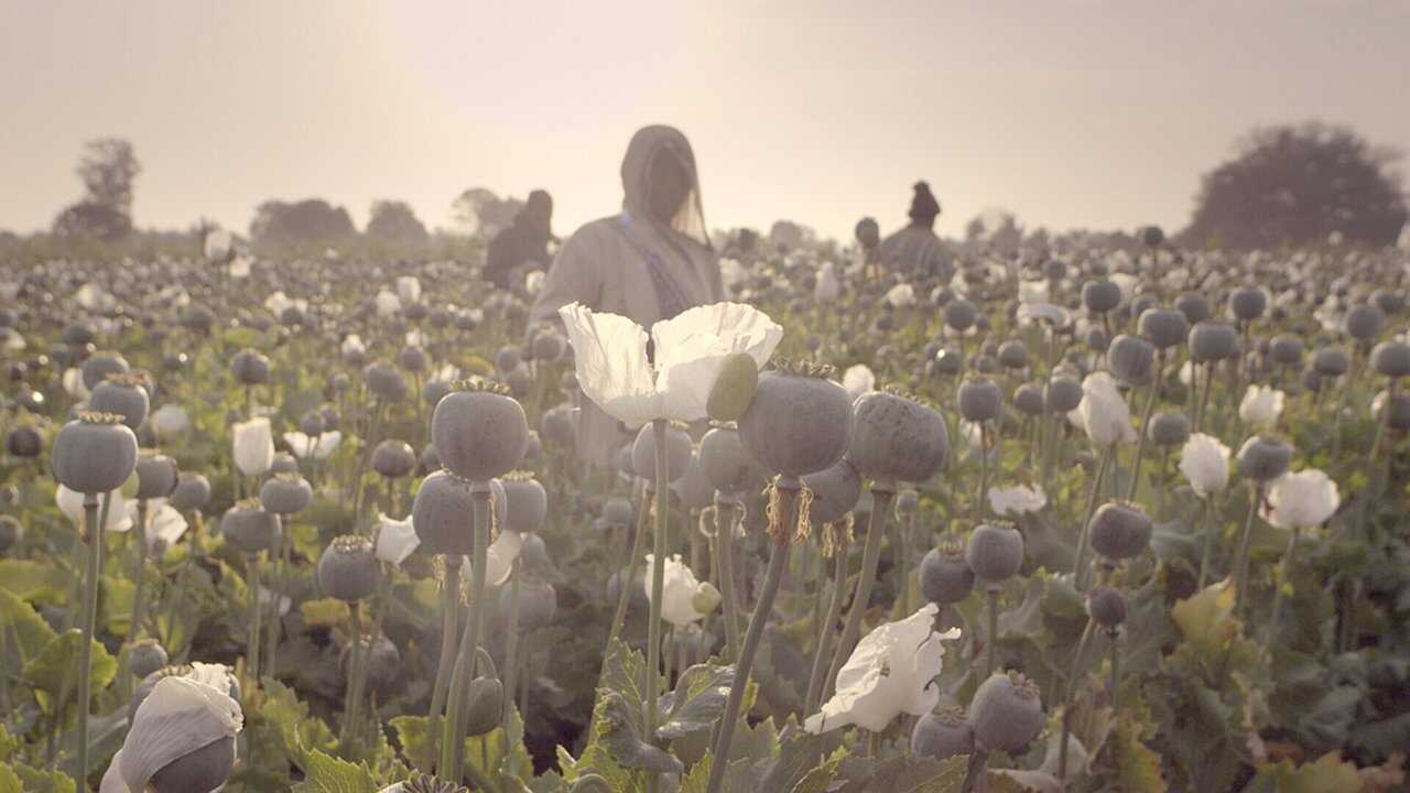 LAT - El crimen del siglo (2021) 3