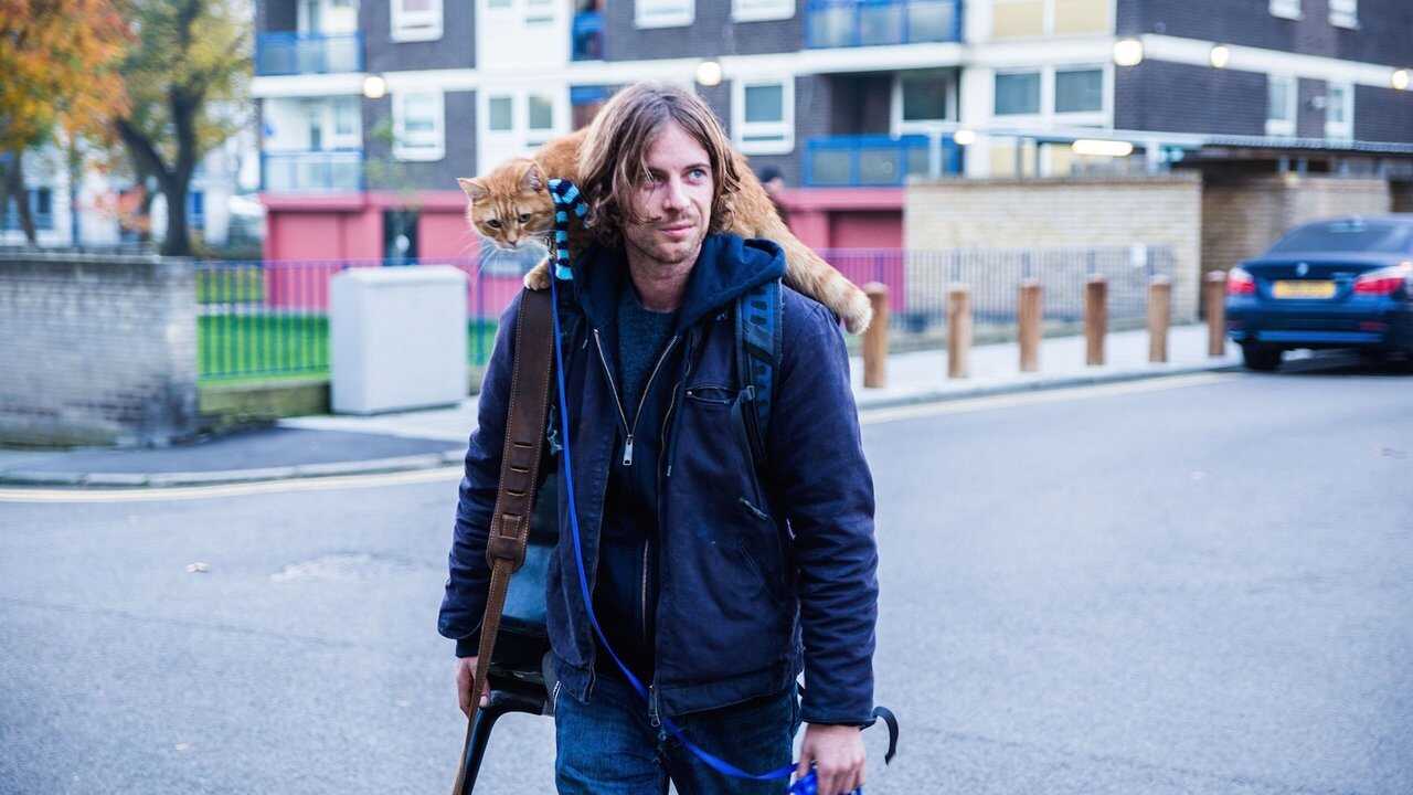 A Street Cat Named Bob (2016) 0