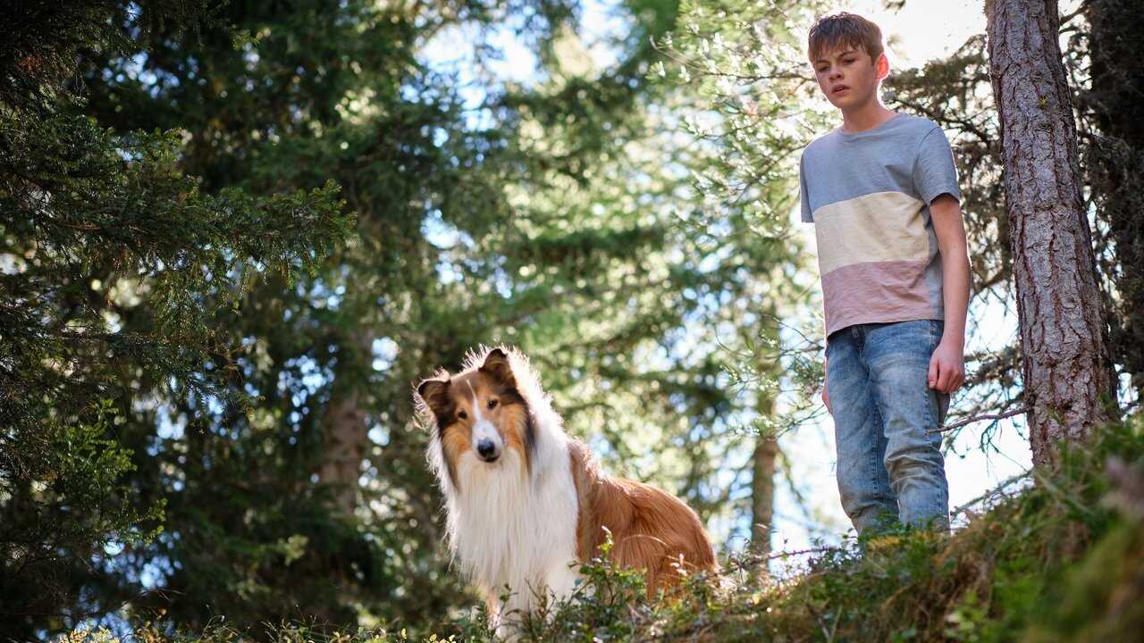 Lassie: A New Adventure (2023) 0