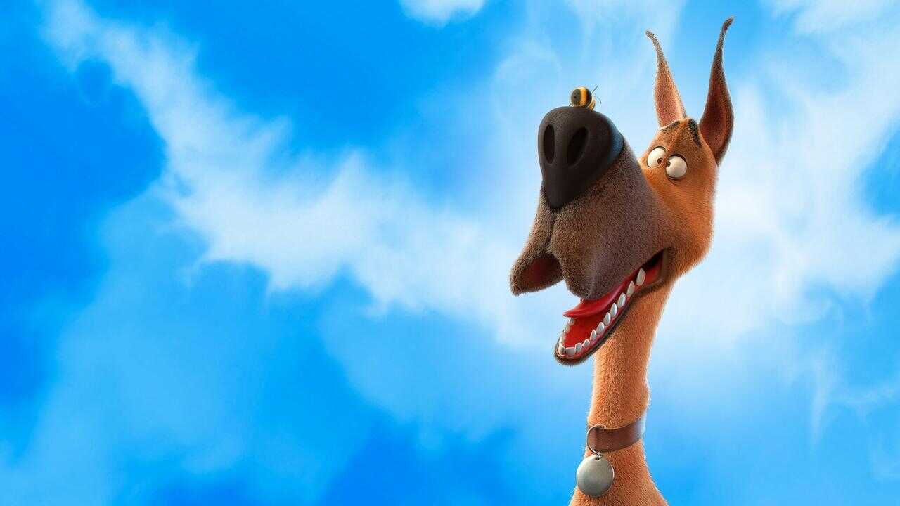 Marmaduke (2022) 0