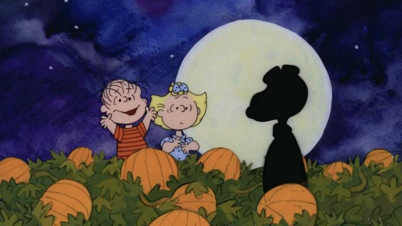 It's the Great Pumpkin, Charlie Brown 0