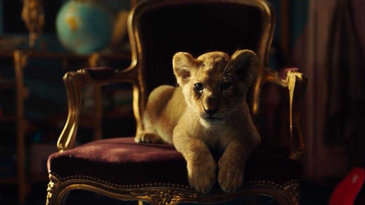 King 0