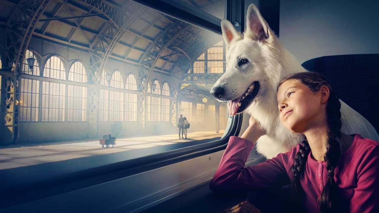 The Travelling Dog 0
