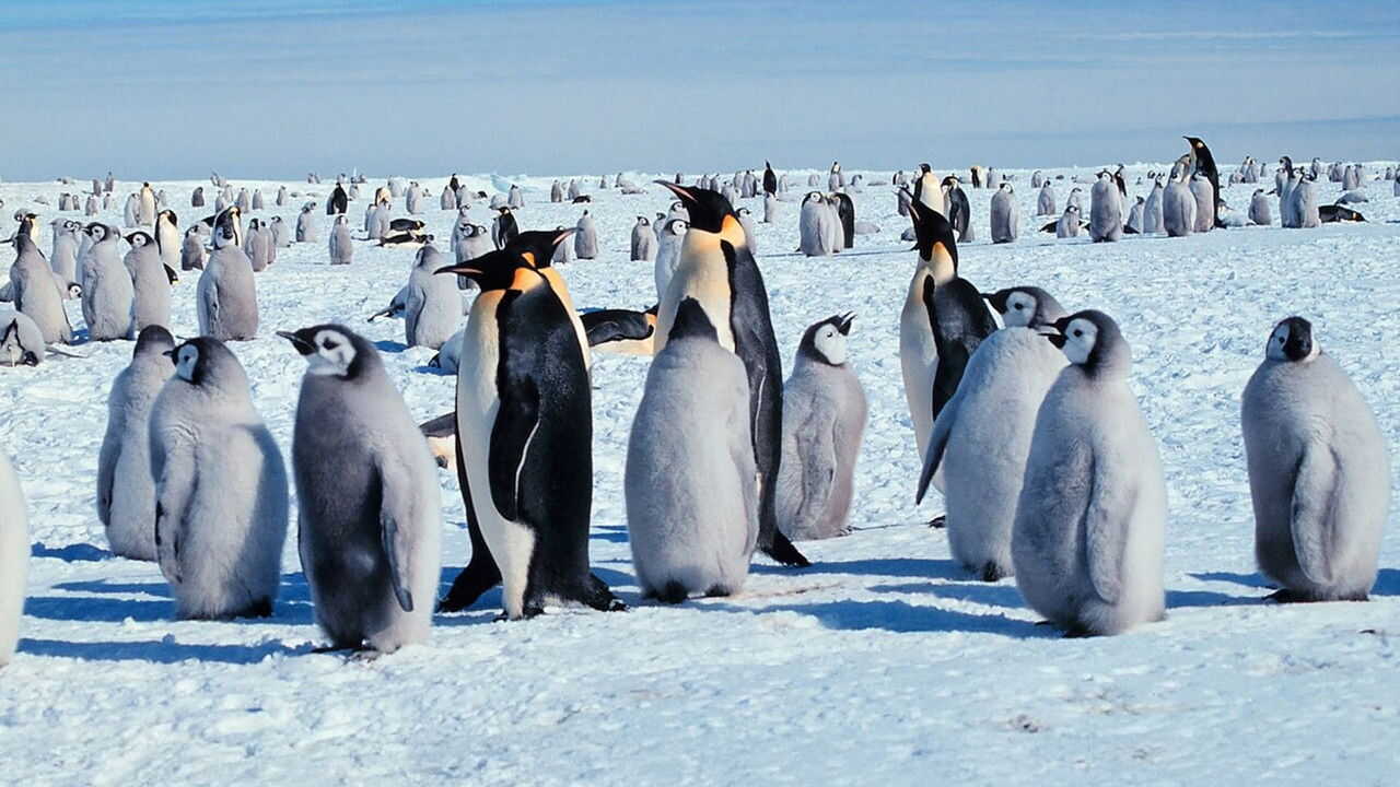 EN - Life in the Freezer (1993) (GB) 2