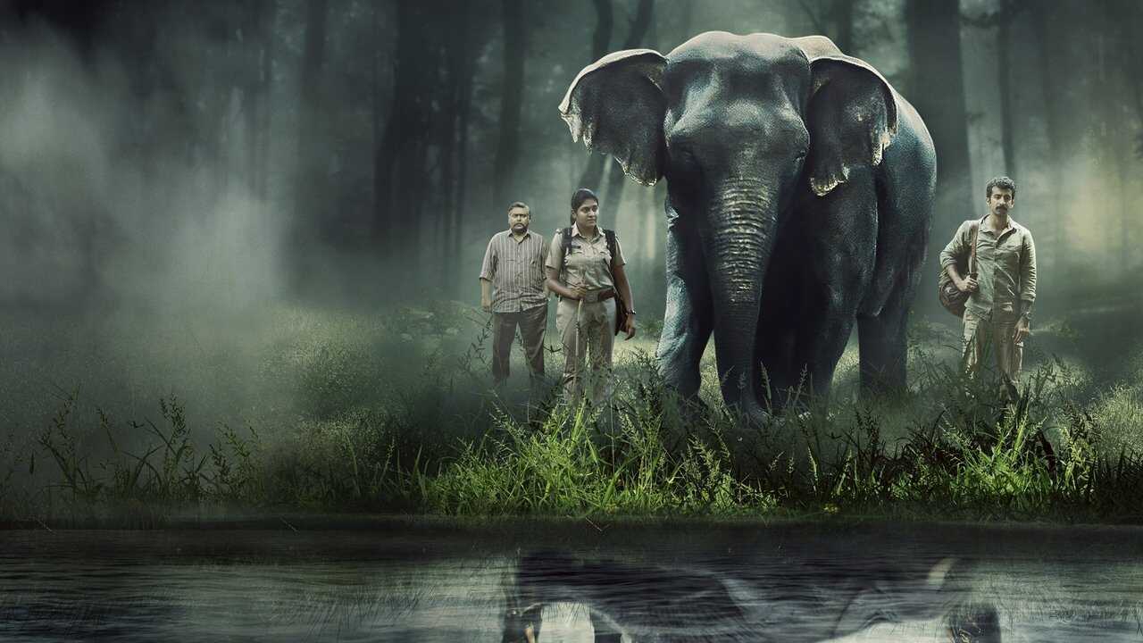 TM - Poacher 2