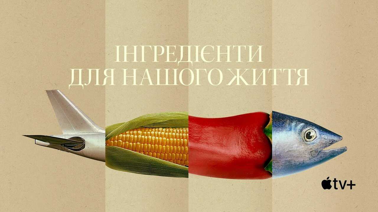 AR - Omnivore (2024) 4