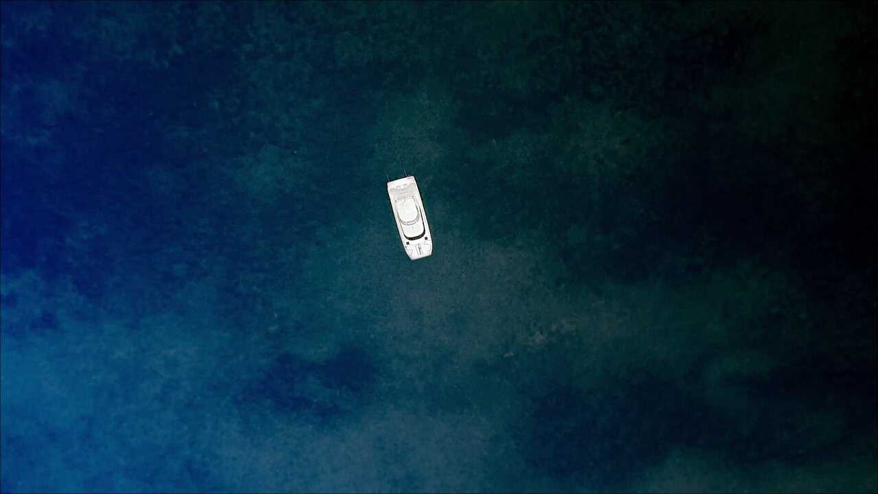 Harpun (2019) 0