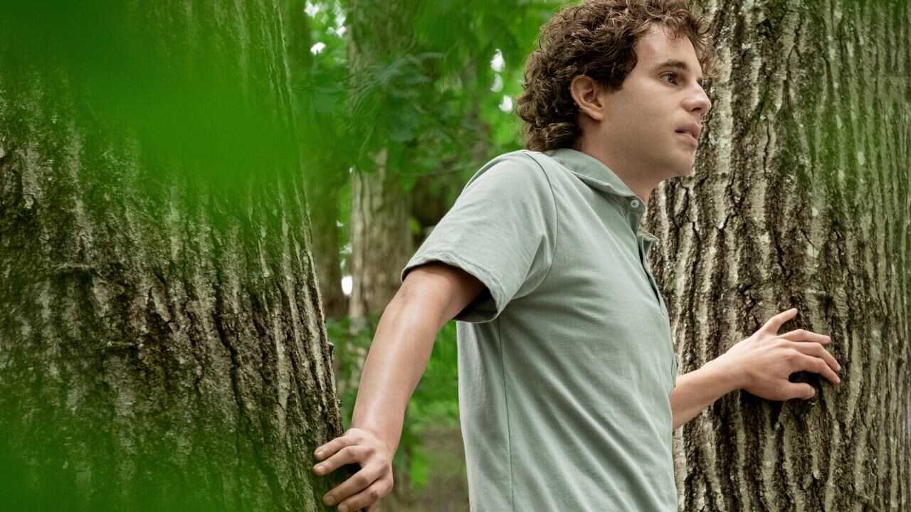 Dear Evan Hansen 0