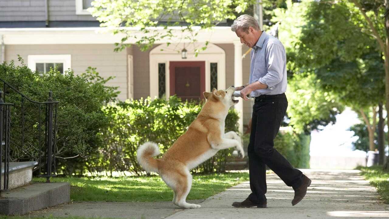 Siempre a tu lado (2009) 0