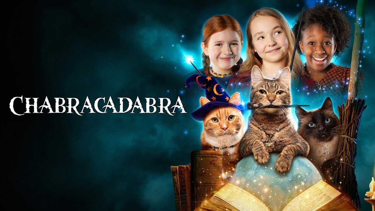 IN - Scaredy Cats 2