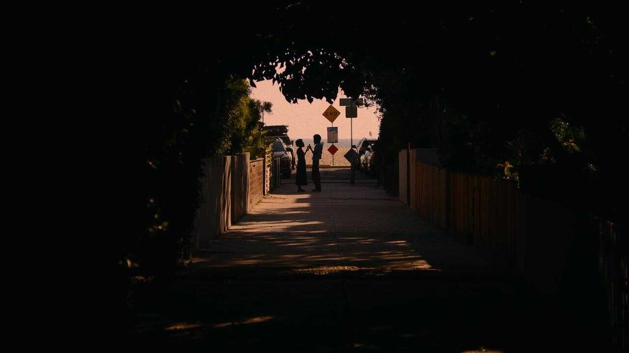 She Taught Love (2024) 0