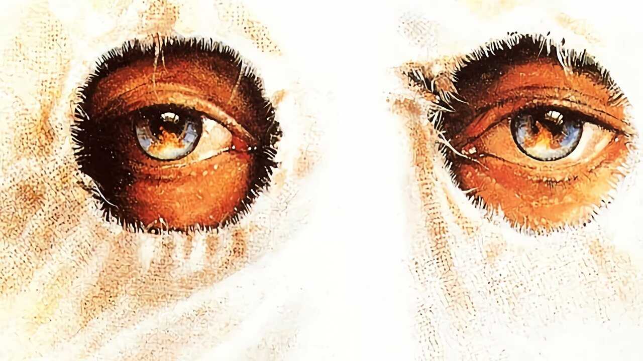 Mississippi w Ogniu (1988) 0