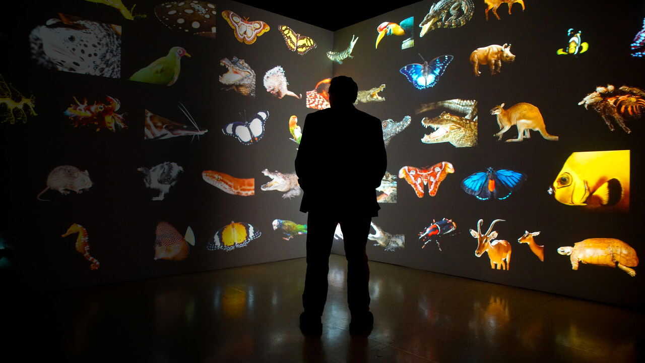 EN - Photo Ark (2017) 0