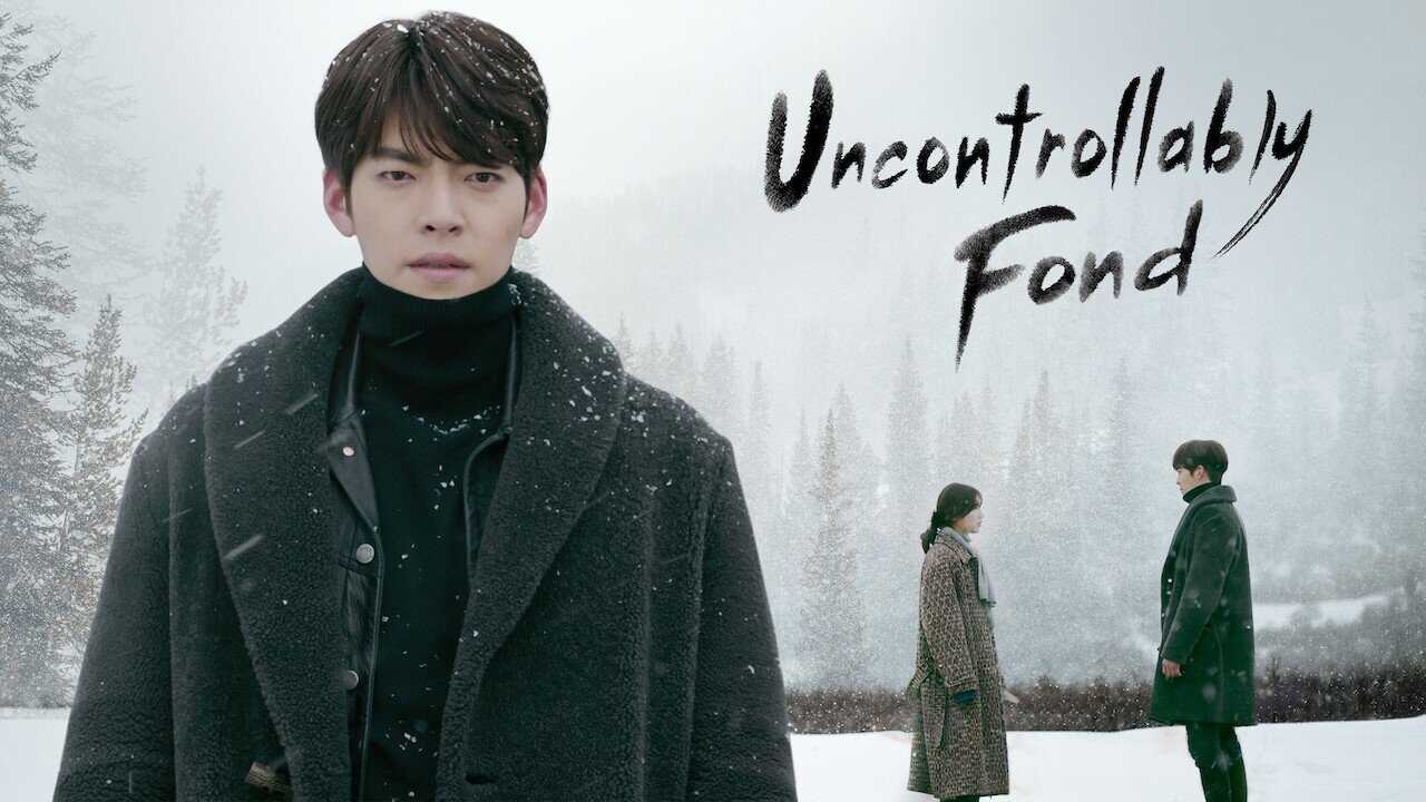 IN - Uncontrollably Fond (2016) 3