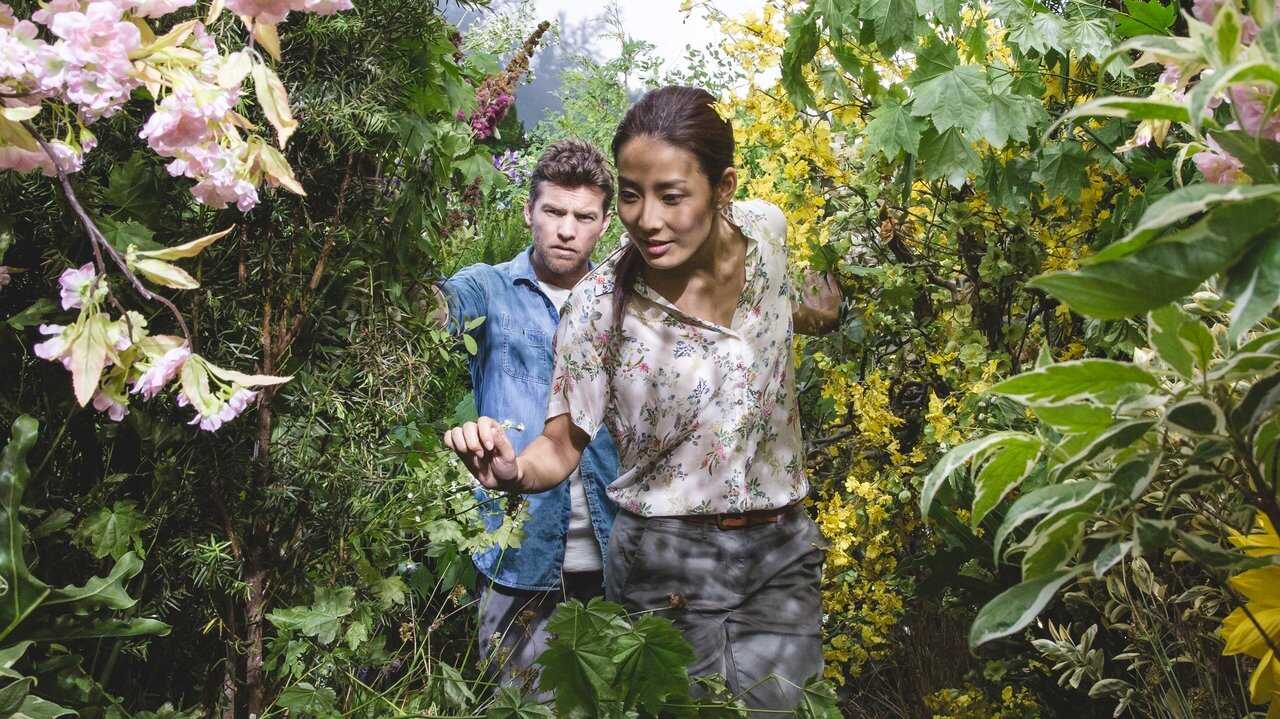 Chata (2017) 0