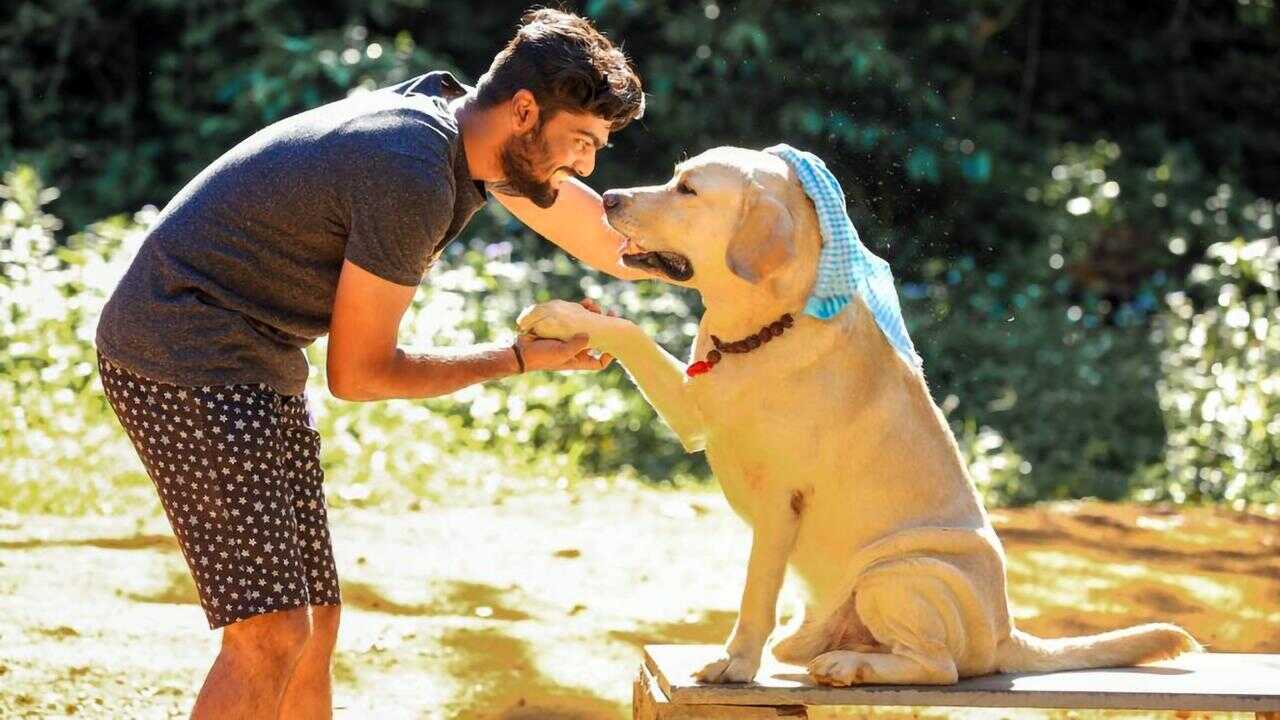 அன்புள்ள கில்லி 0