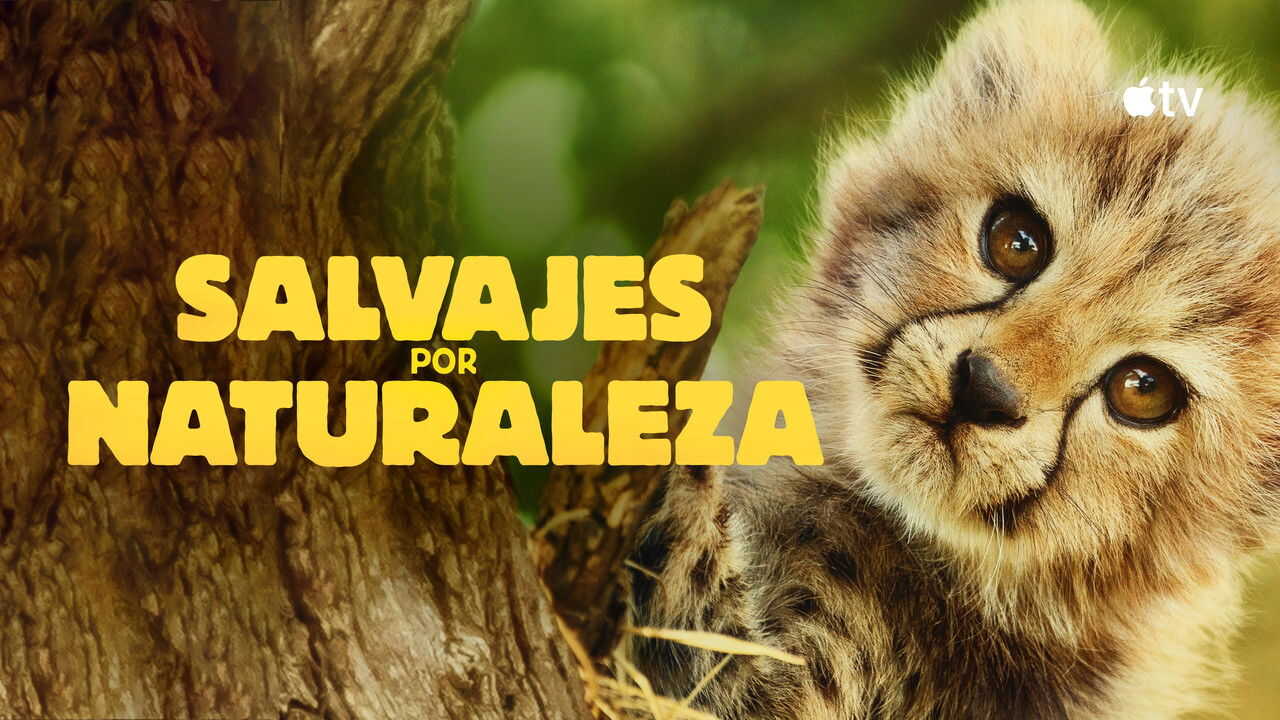 EN - Born To Be Wild (2025) (GB) 3