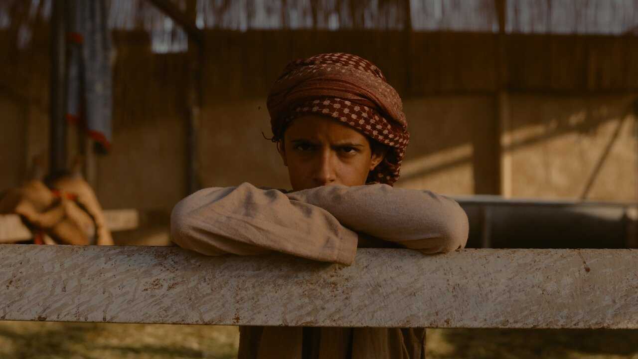 هجّان (2024) 0