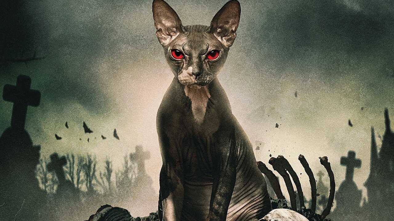 Pet Graveyard (2019) 0