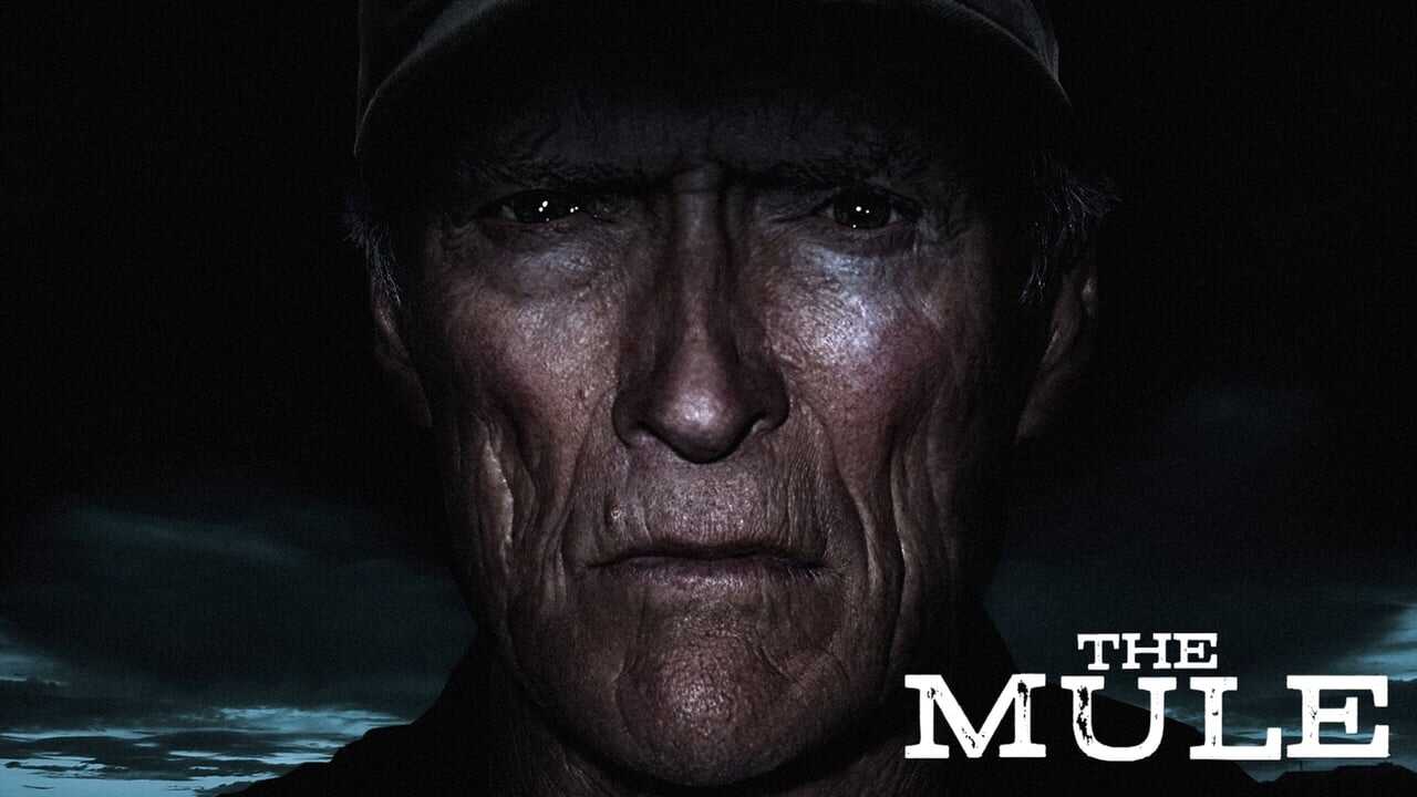 The Mule 0