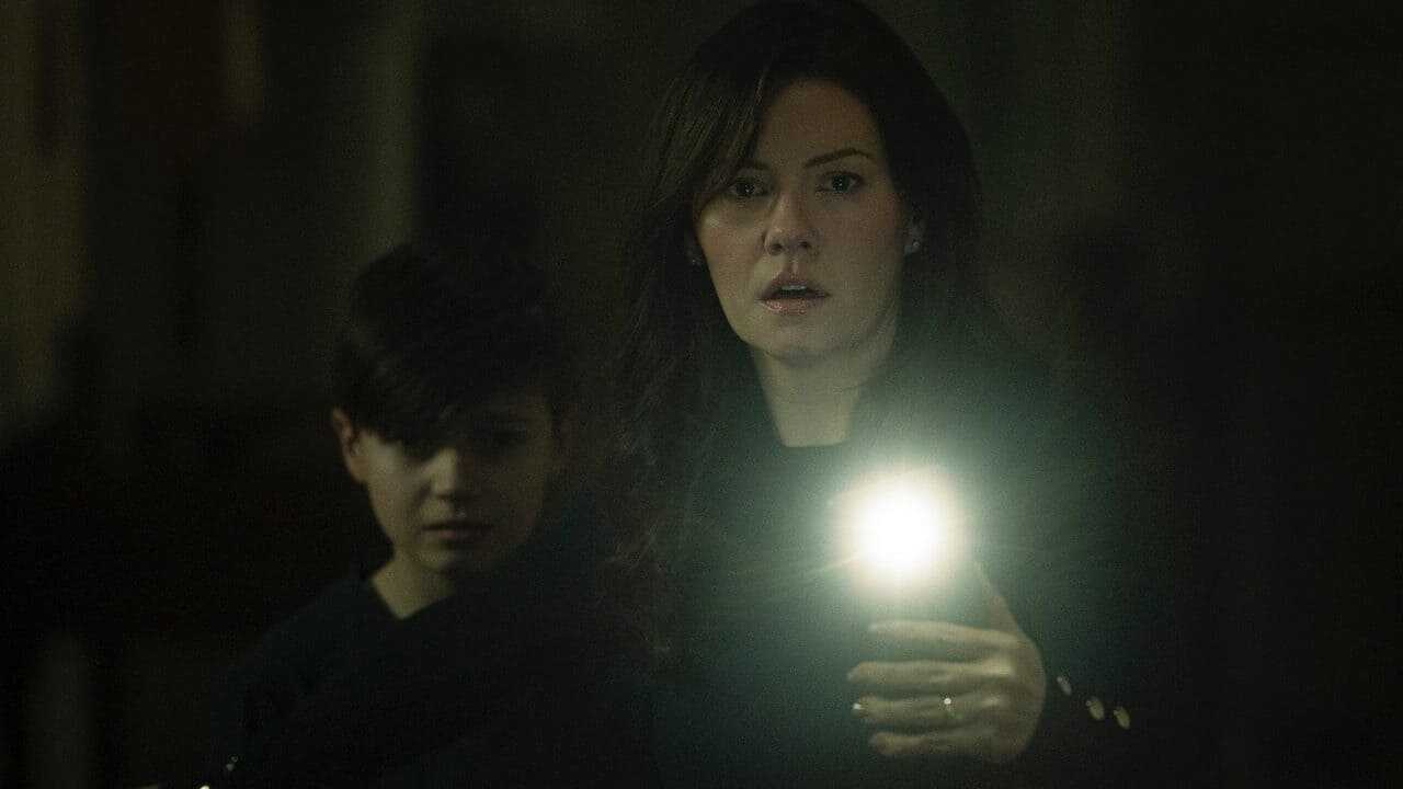 The Cellar 0