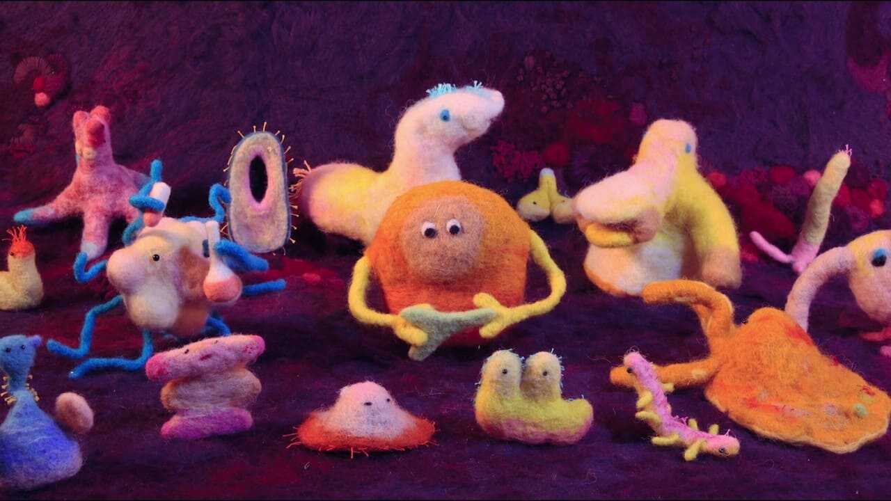 Descifra tu salud: Los secretos del intestino (2024) 0