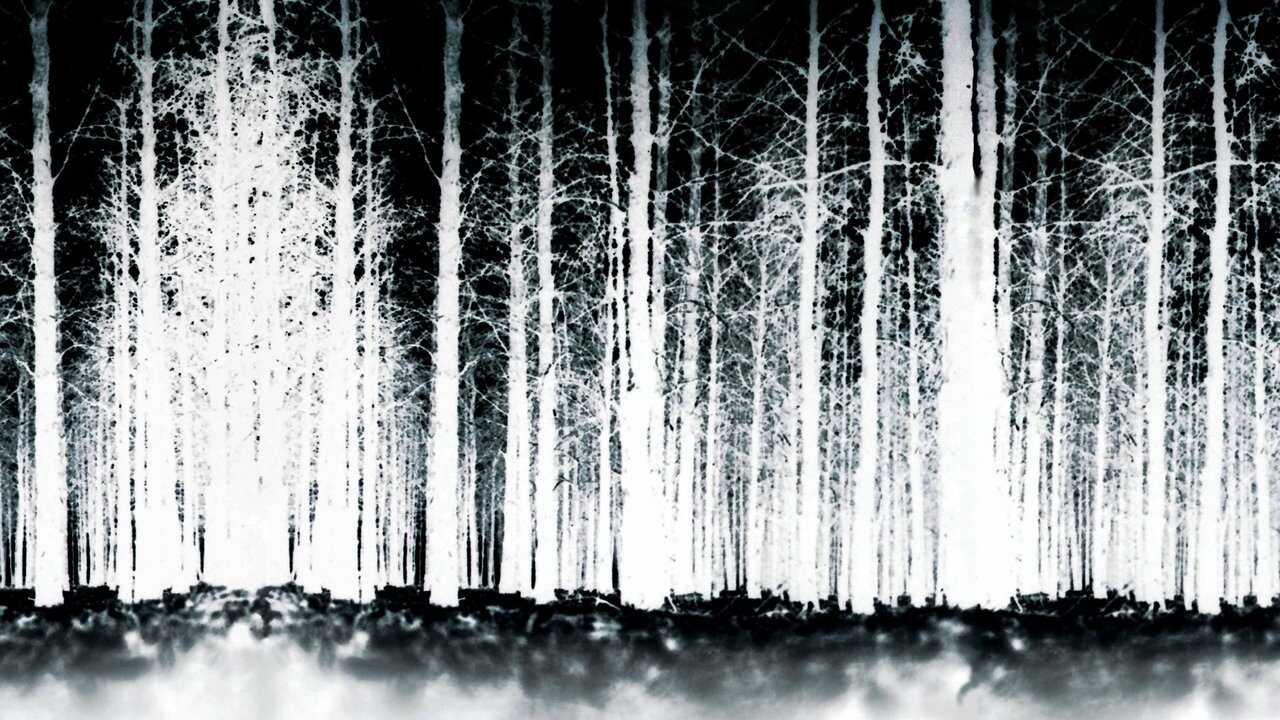 Le Projet Blair Witch (1999) 0