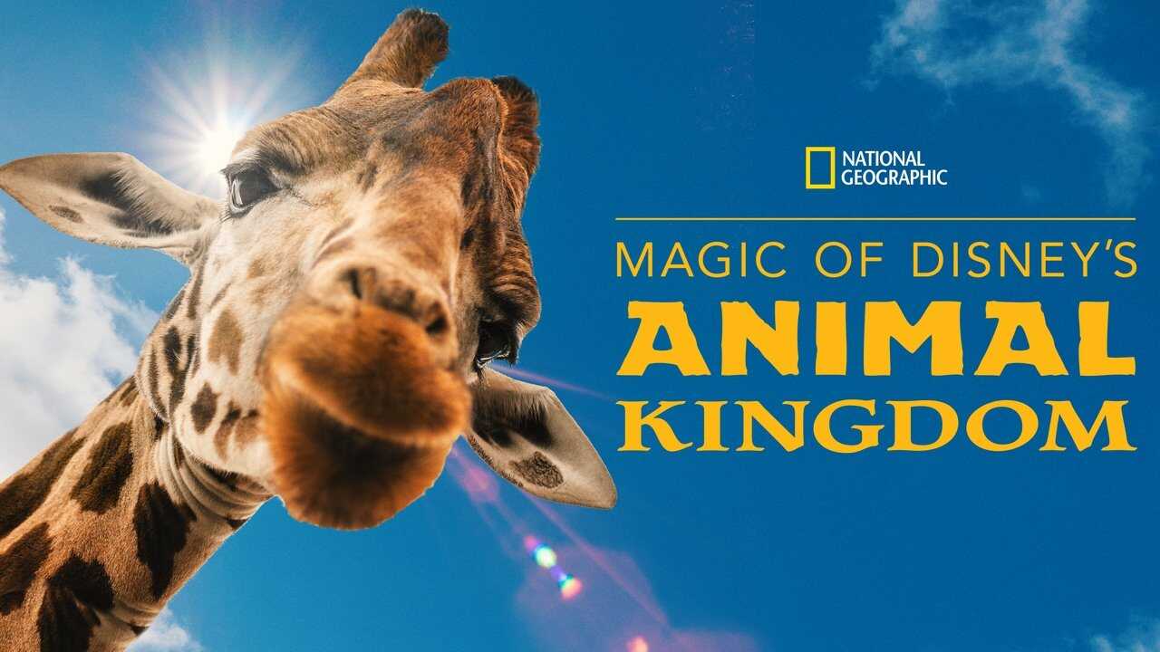 EN - Magic Of Disney's Animal Kingdom (2020) 3
