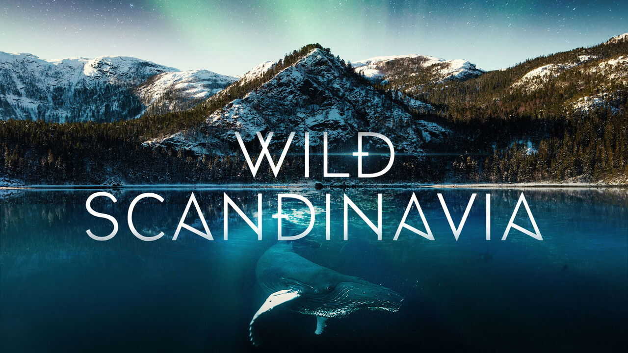 EN - Wild Scandinavia (2023) 1