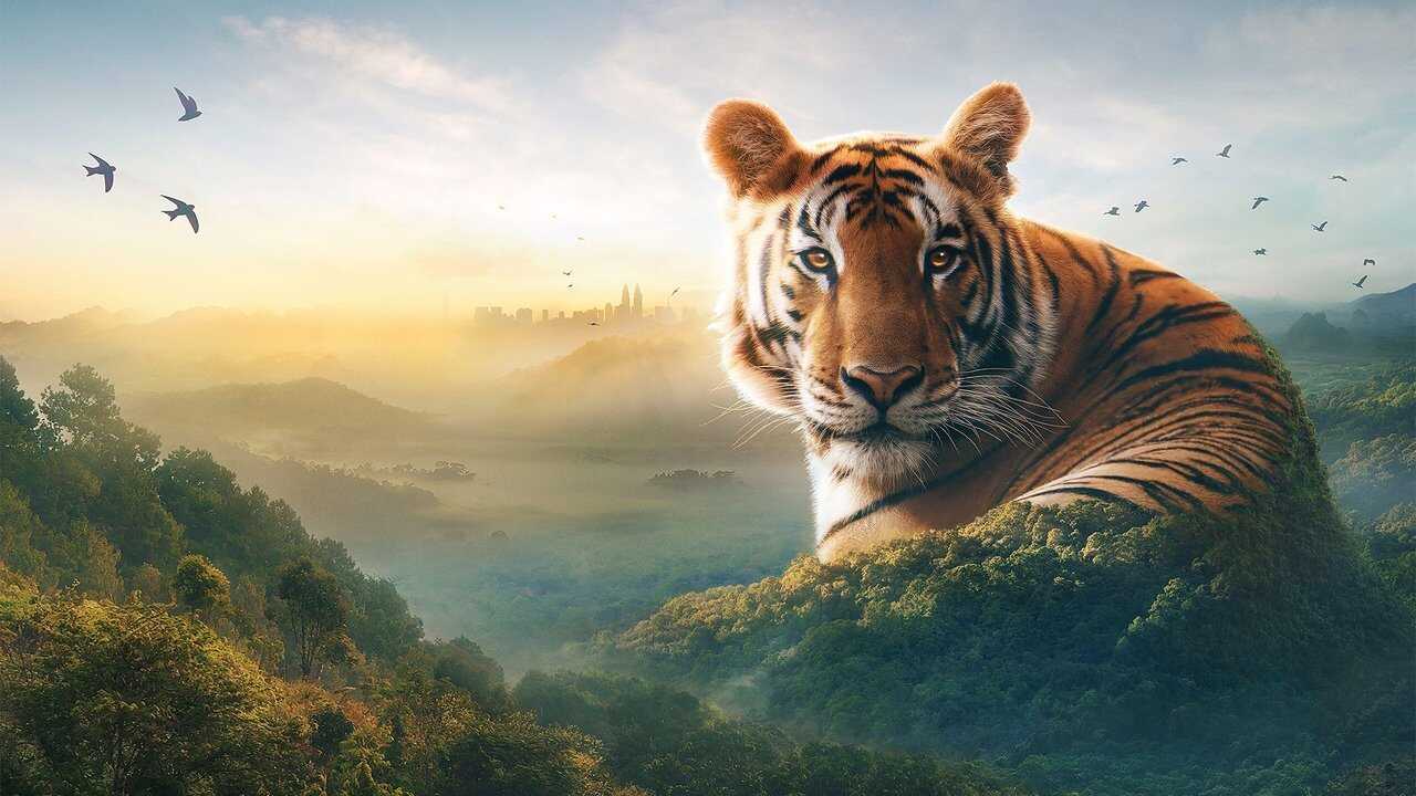 EN - Asia (2024)  David Attenborough 2