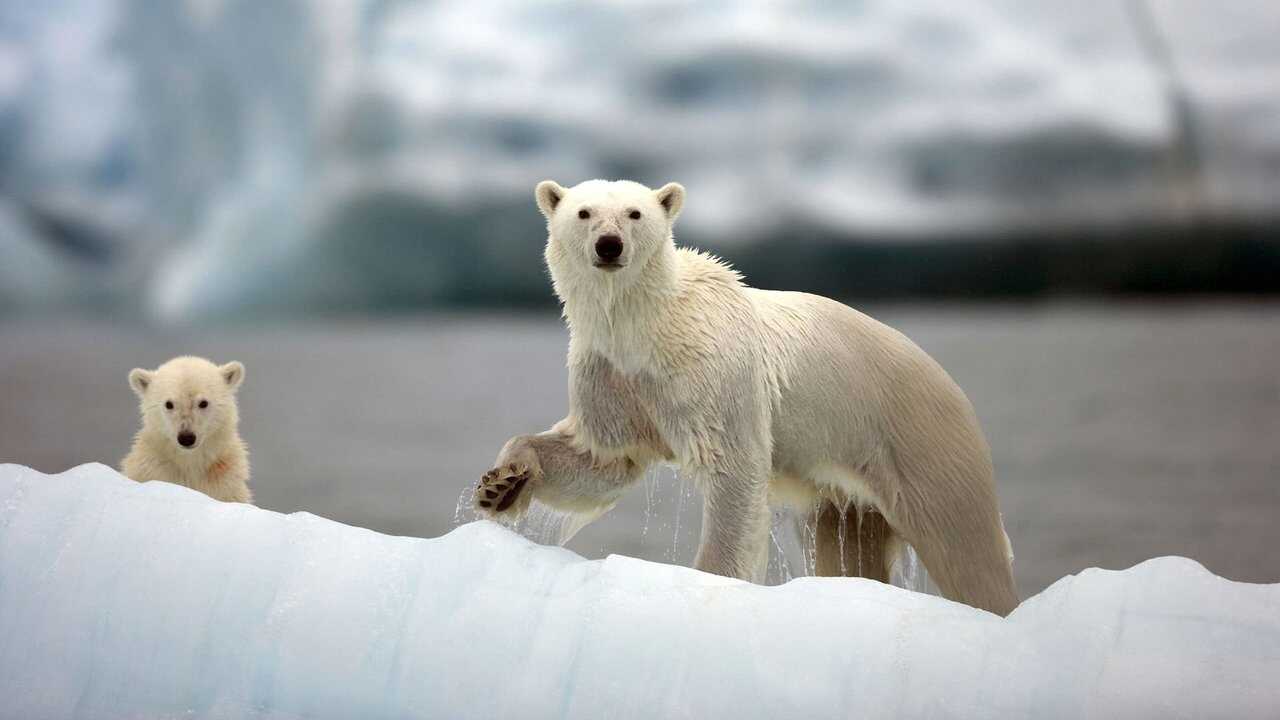 EN - Nature's Great Events (2009) 1