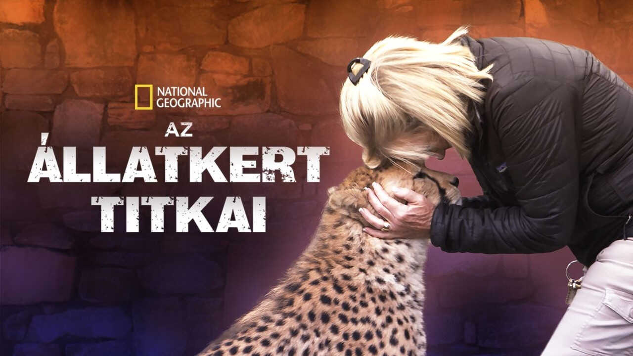 D+ - Secrets of the Zoo (US) 0