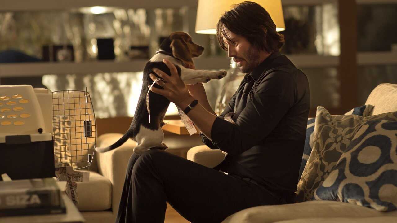 John Wick 0