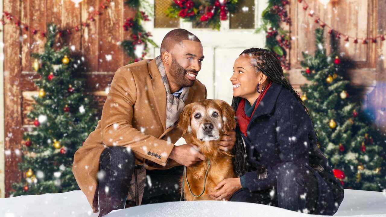 A Christmas Stray 0