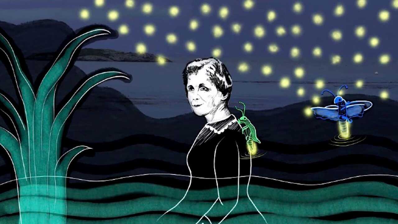 Rachel Carson, la mère de l'écologie 0