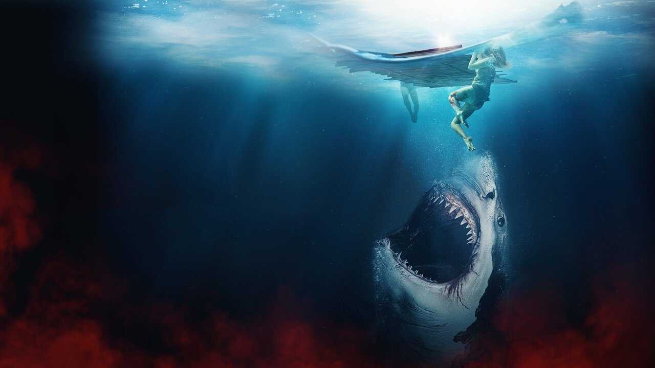 The Requin 0