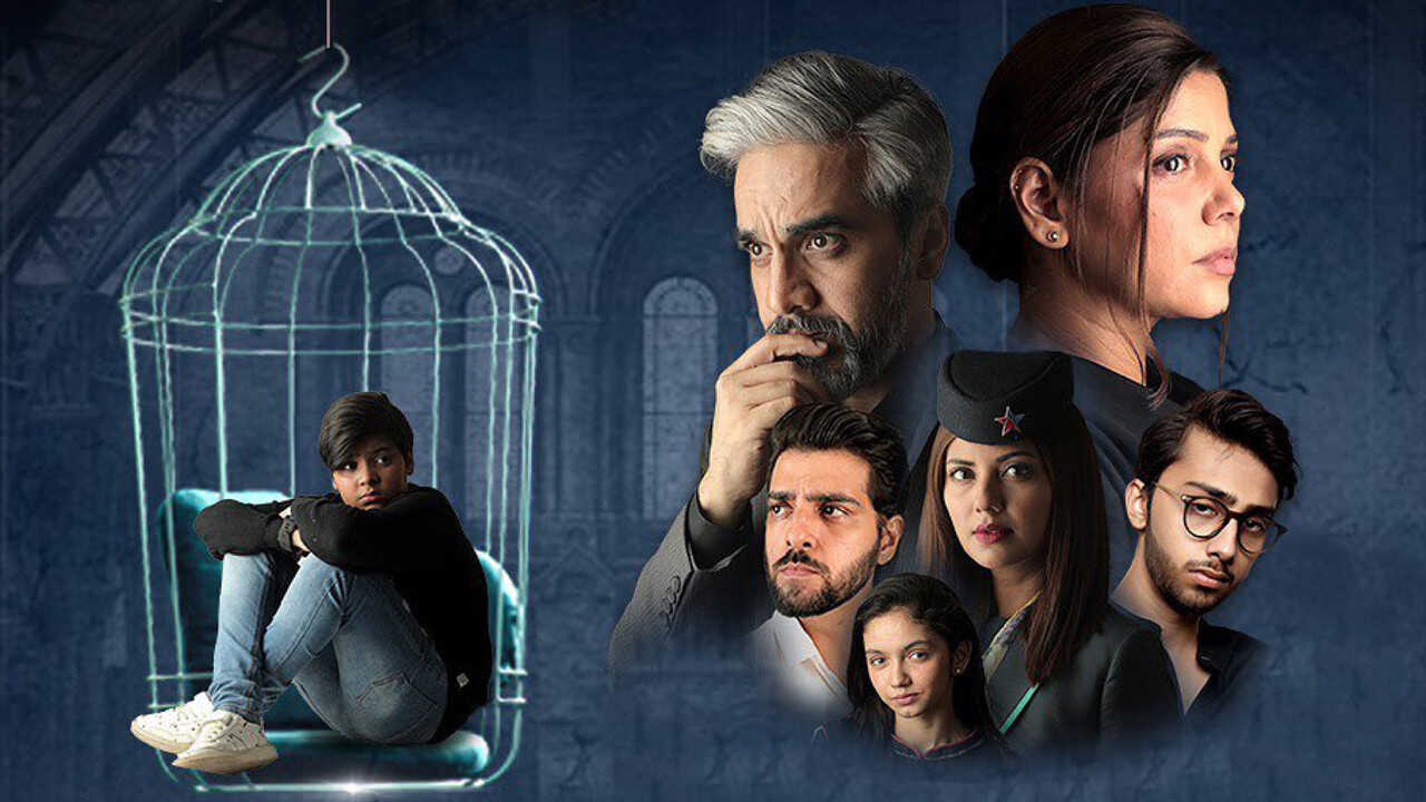 IN - Pinjra (2022) (PK) 0