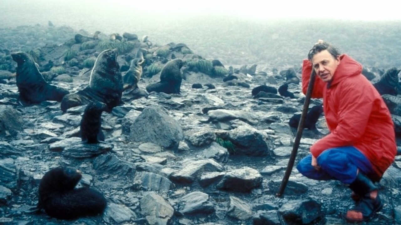 EN - The Living Planet (1984) 0