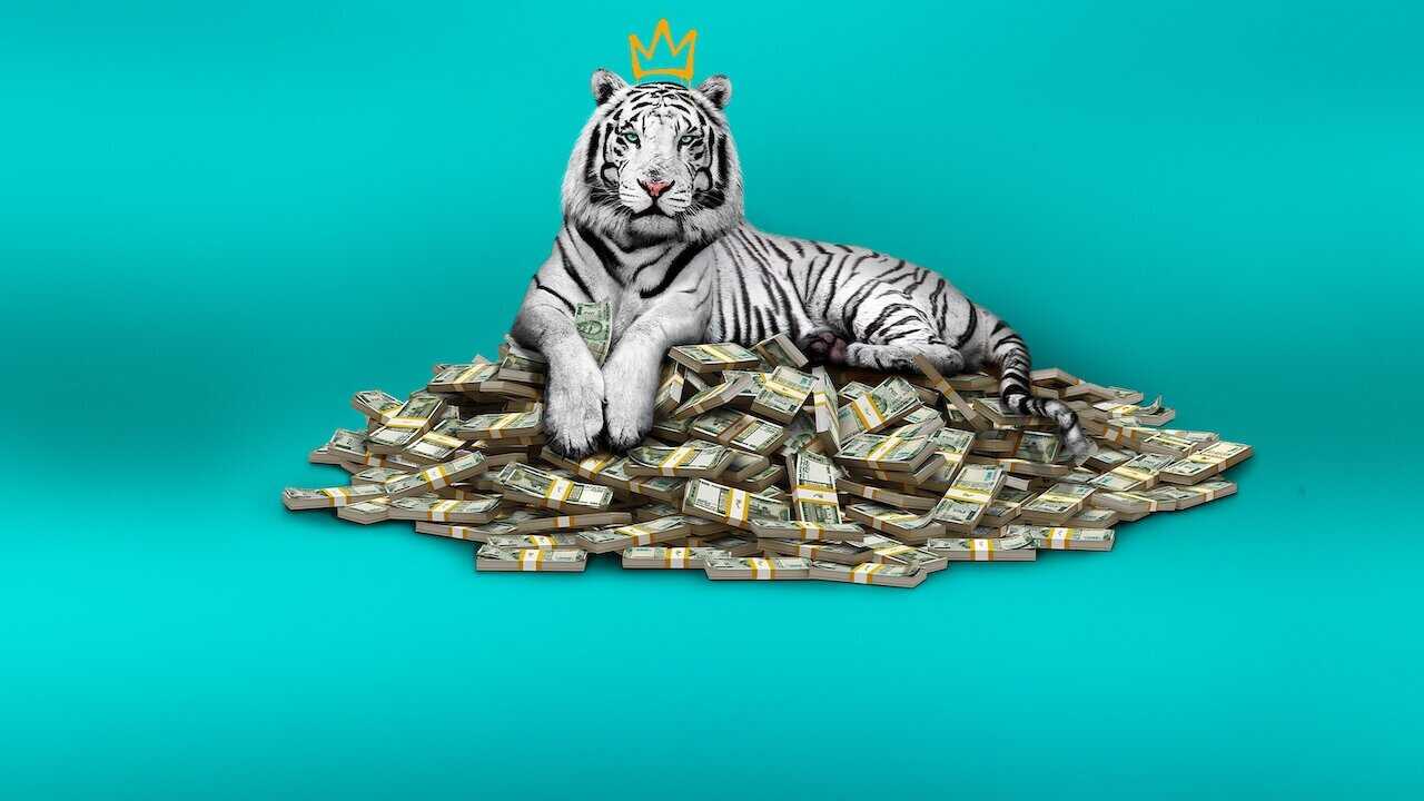 The White Tiger 0