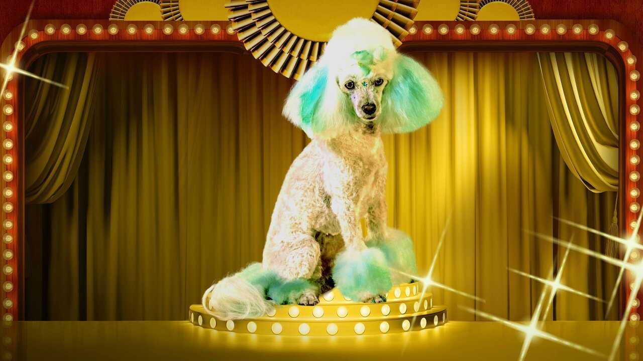 EN - Haute Dog (2020) 0