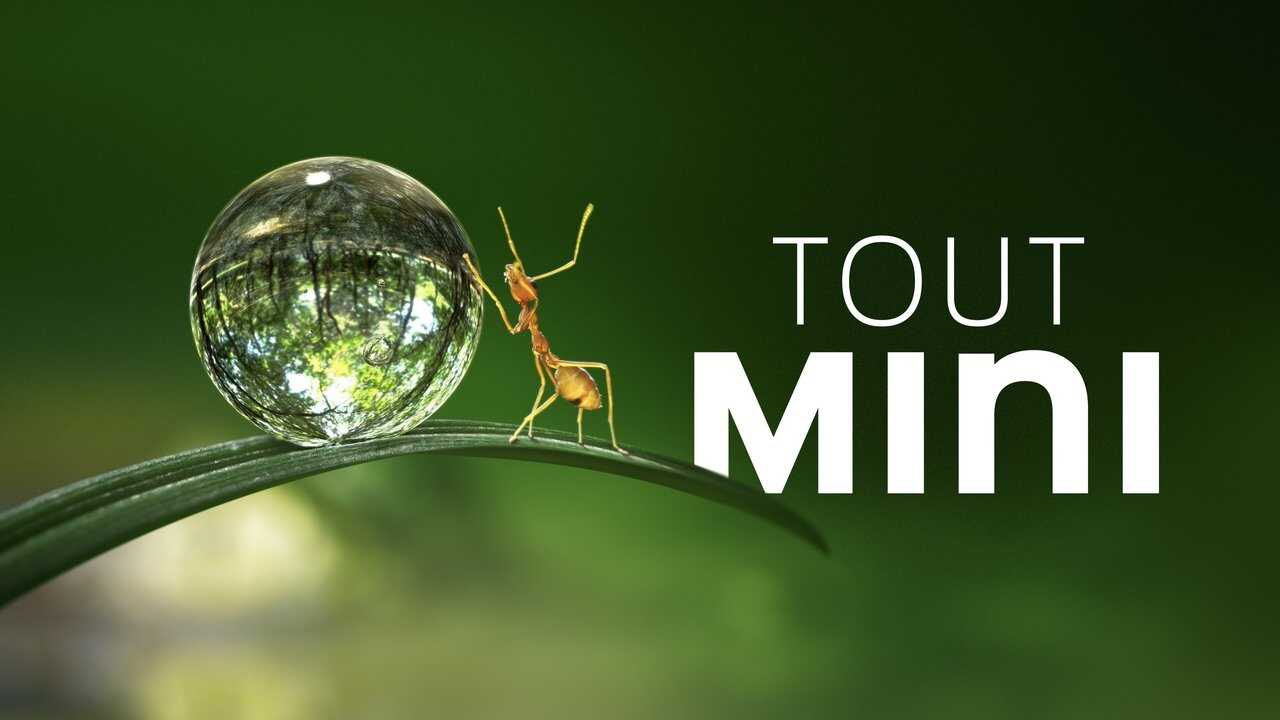 A+ - Tiny World (2020) 1