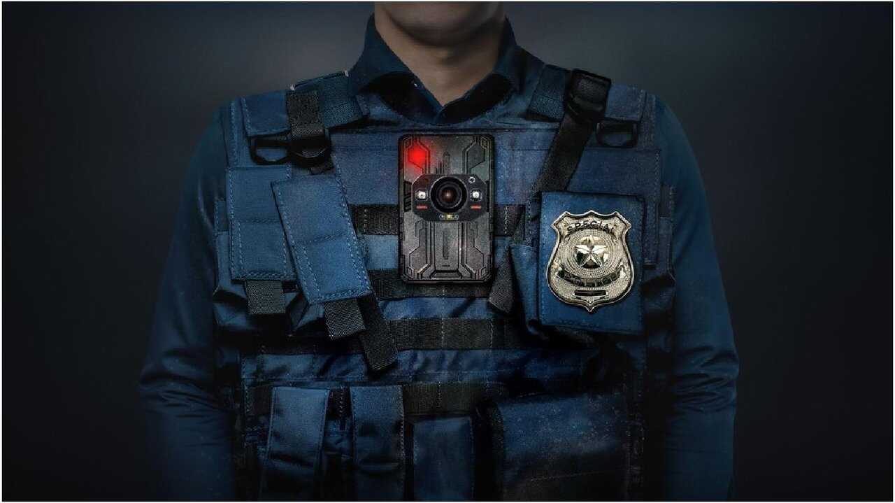 EN - PD True (2024) 3