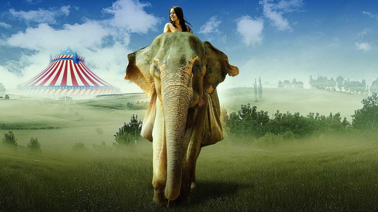 Ratujmy Florę (2019) 0